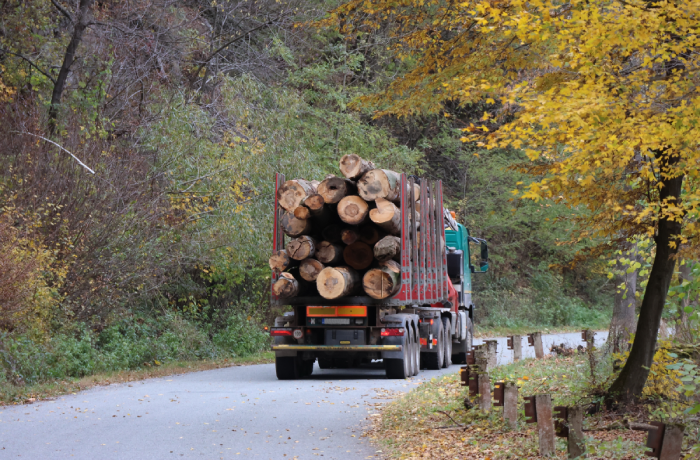A truck is driving down a road with a trailer full of logs. The truck is green and black.